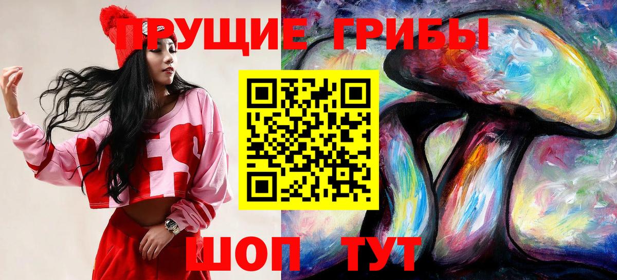 Псилоцибиновые грибы Magic Shrooms  Галлюциногенные грибы Psilocybine cubensis  Баксан  Вход с VPN 